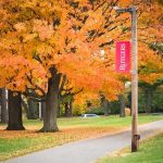 Autumn trees along a campus pathway with red banners on poles