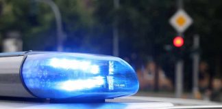 Migrant Teacher Arrested Over Alleged Rape of Children Aged 3–5 Police car blue siren light flashing