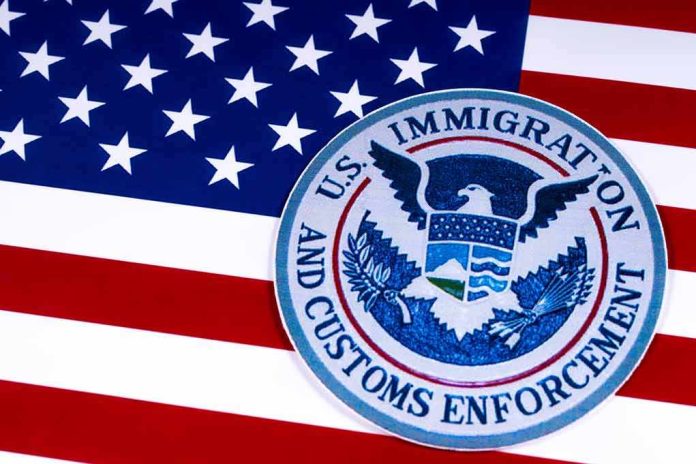 U.S. flag with ICE emblem