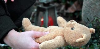 Hands holding a teddy bear near a grave