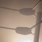 Wrestling Star Dead Hours After Final Match Boxing ring corner ropes in hazy light