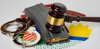 Gavel, handcuffs, and rifle magazine on Illinois state seal