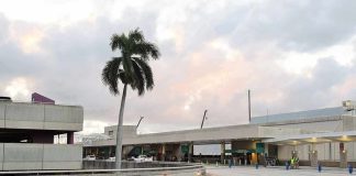 Airport terminal exterior with palm tree at dusk