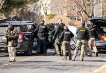 Senate Candidate ARRESTED After Armed Standoff Police and sheriff officers gather around vehicles on a suburban street